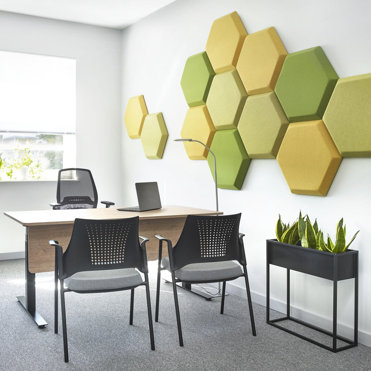 Bejot Silent:block Wall 3D akustisches Wandelement Sechseckform
