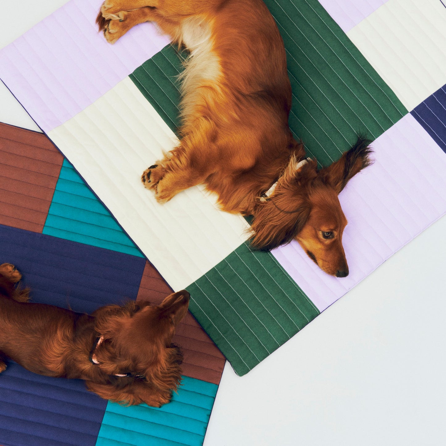 HAY Dogs Travel Blanket Reisedecke für Hunde 80 x 80 mehrfarbig